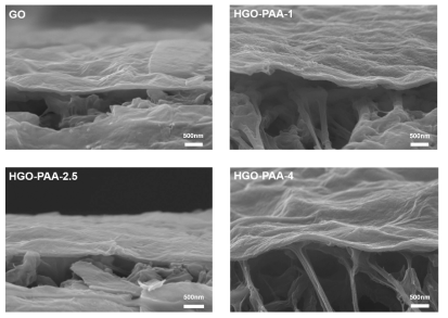 Cross-sectional SEM images of GO, HGO-PAA-1, HGO-PAA-2.5 and HGO-PAA-4, respectively