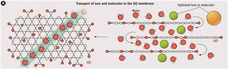 Transport of ions and water molecules through GO membrane; water and small-sized ions and molecules (compared with the void spacing between stacked GO nanosheets) permeate superfast in the GO membrane, while larger species are blocked. (ref: Science 2014, 343, 740-742.)