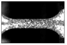 Image of a free-standing thin film sample covered by Al2O3 speckle pattern taken via CCD camera