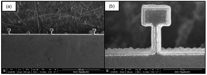 SEM image(s) of microscale tensile bar(s) fabricated out of commercial NiTi sheet using femtosecond laser