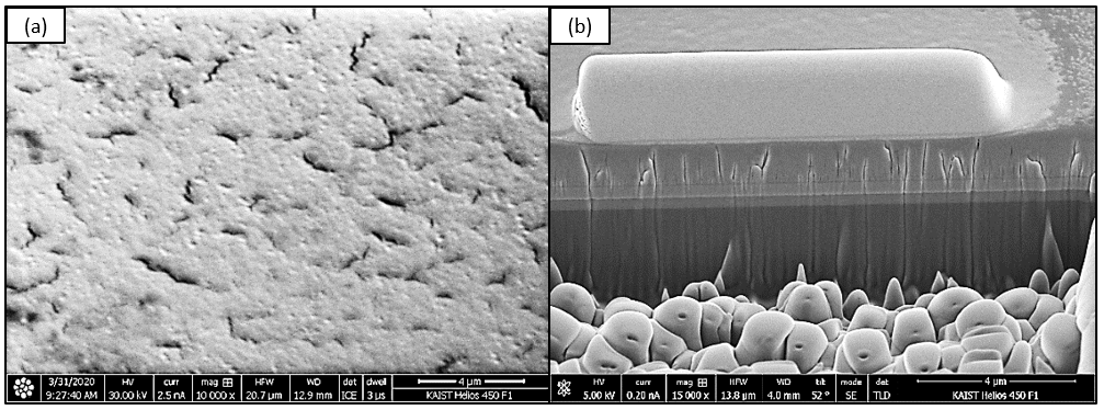 Image of FIB milled; (a) surface and (b) cross-section