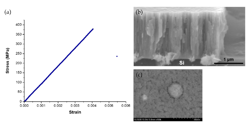 (a) True stress-strain curve; SEM image of the (b) fractured cross-section and (c) surface of Ni49.40Ti50.50 at% (Table 3.1, row: 6) thin film