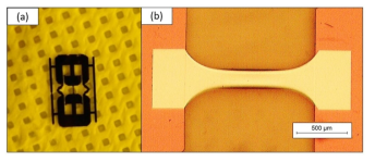 (a) Image of an individual sample and (b) optical microscope image of a free-standing thin film