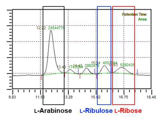 크로마토그램에 의한 L-ribulose와 L-ribose의 분리