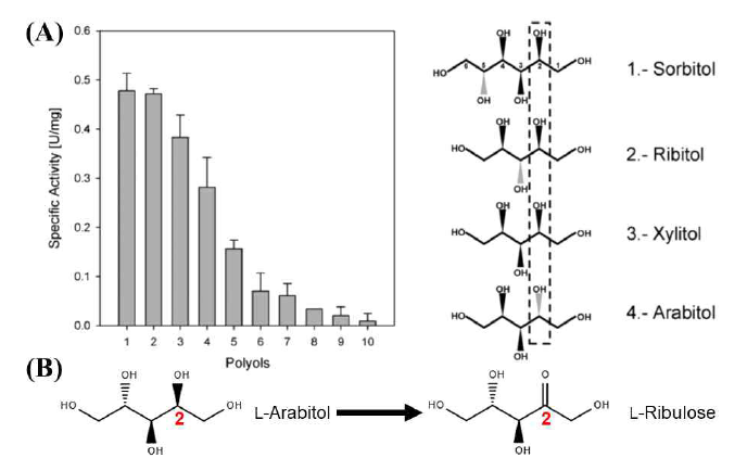(A) Sorbitol dehydrogenase의 활성 (B) L-arabitol을 기질로 이용한 L-ribulose 생산 가능성 (M.F. Aguayo et al., (2013) Plant Science, 205-206:63-75.)