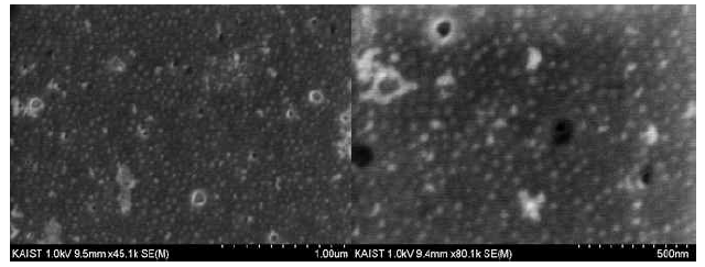 NMP로 형성한 PS-b-PDMS 양자점 micelle 보호막 SEM 사진