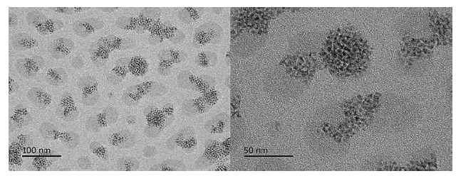 NMP로 형성한 PS-b-PDMS 양자점 micelle 보호막 TEM 사진