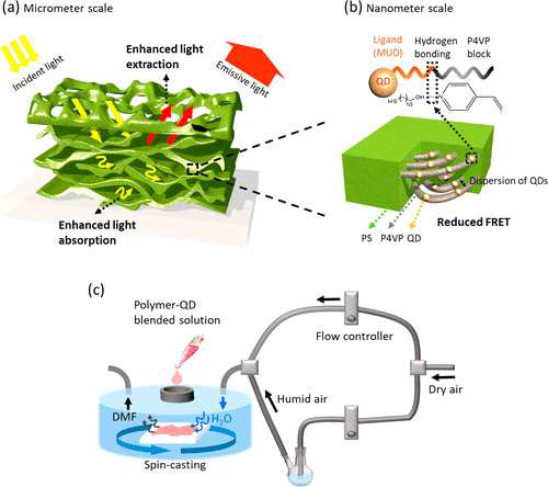 a) 양자점-블록공중합체 구조체. b) 블록공중합체에 분포 되어있는 양자점 모식도. c) 습도 제어 스핀코팅 모식도