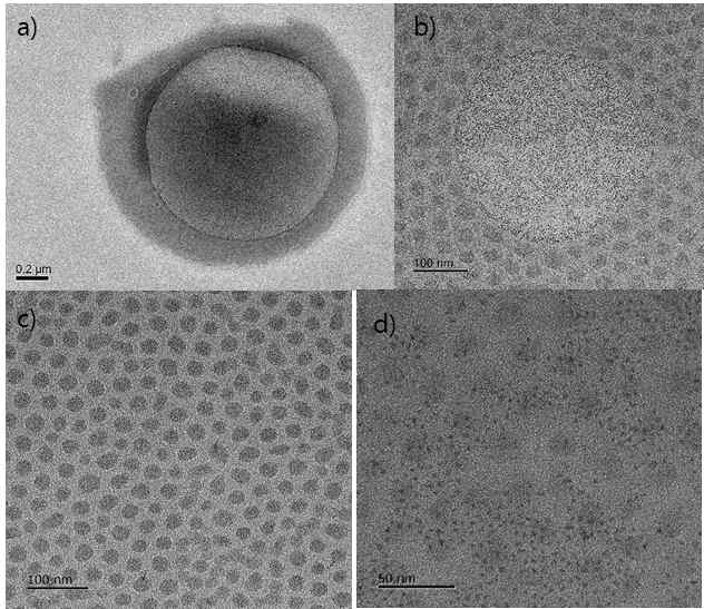 a) 마이크로 크기의 양자점 포함 되어 있는 PS-b-PDMS micelle TEM 사진. b) 수백나노미터 크기의 양자점 포함 micelle TEM 사진. c) 나노크기 양자점 포함 micelle TEM 사진. d) Micelle 에 포함 되지 않은 양자점들 TEM 사진