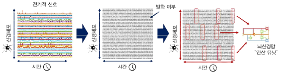 전기적 신호로부터 뇌 신경망 연산 유닛의 후보들을 탐지