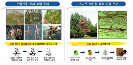 유해선충에 의한 농업 및 환경 문제