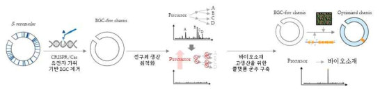 합성생물학 기반 유해선충 제어 바이오소재 고성능 세포공장 구축 모식도