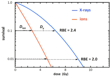 X-ray (파란 실선) 과 하전입자 (붉은색 실선)의 세포 사멸에 대한 물리적 선량 비교 (RBE)