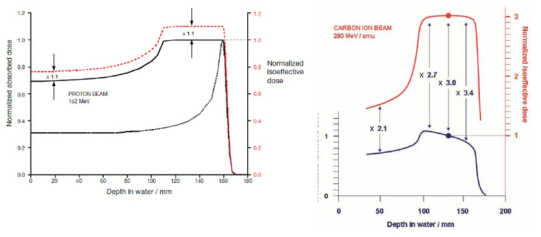 양성자의 임상적 RBE = 1.1 (왼쪽) 과 탄소의 임상적 RBE (오른쪽)