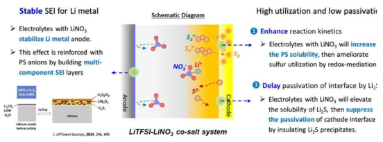 LiTFSI-LiNO3 co-salt system 개념도
