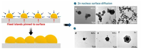 기존 Zn 전착 메커니즘 및 Zn nuclei의 aggregation 현상
