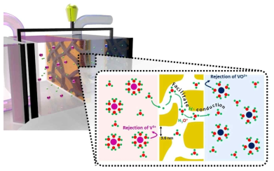 메조다공성 바나듐 레독스 흐름 전지용 분리막의 기능 원리