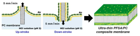 랭뮤어-블라젯 적층방식을 통한 Nafion 초박막/PC 복합막 제작과정