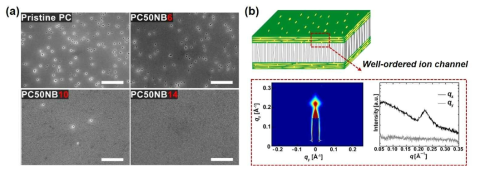 (a) SEM 표면 분석 결과, (b) GI-SAXS를 통한 Nafion 초박막의 이온 채널 모폴로지 분석 결과