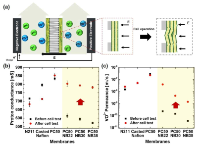 (a) 전지 내에서 발생된 전기장에 의한 Nafion 초박막의 구조 변형 예상 모식도, 전지 구동 전·후 (b) 수소 이온전도 및 (c) 바나듐 이온투과 측정결과 비교