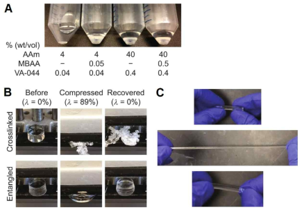 얽힌 폴리아크릴아마이드 하이드로젤. (A) 별도의 화학적 교차결합(MBAA) 없이도 폴리머 네트워크가 형성됨. (B,C) 얽힌 폴리아크릴아마이드 하이드로젤은 9배 이상의 압축 스트레스와 10배 이상의 인장 스트레스를 견딤