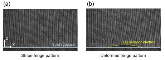 (a) 휘발성 액적이 없을 때의 줄무늬 패턴, (b) 휘발성 액적에 의해 왜곡된 줄무늬 패턴