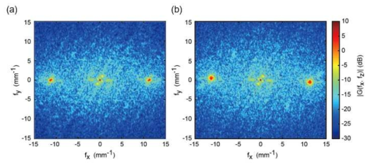 간섭 무늬 전체의 2D Fourier transform된 스펙트럼 (a) stripe pattern, (b) deformed pattern