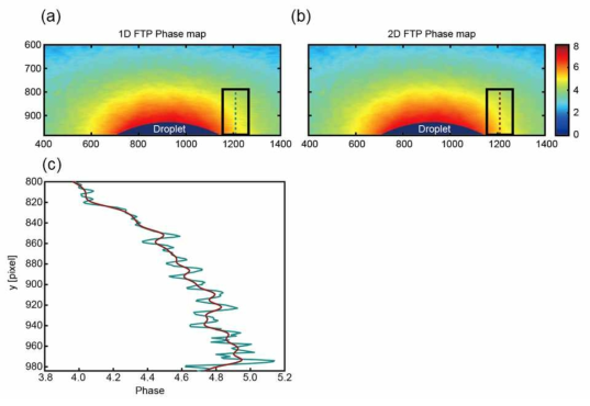 (a) 1D FTP 위상 결과, (b) 2D FTP 위상 결과, (c) 점선(a, b)의 위상 프로파일