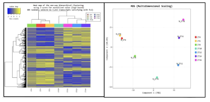 clustering analysis 결과