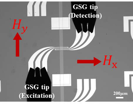 Py 박막 위의 스핀파 발생 및 측정을 위한 안테나 패턴. GSG 팁을 사용하여 전기적으로 연결한 후 일정한 자기장을 걸어줄 수 있음