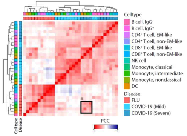 단일세포 결과의 hierarchical clustering