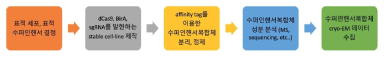 연구 추진 전략