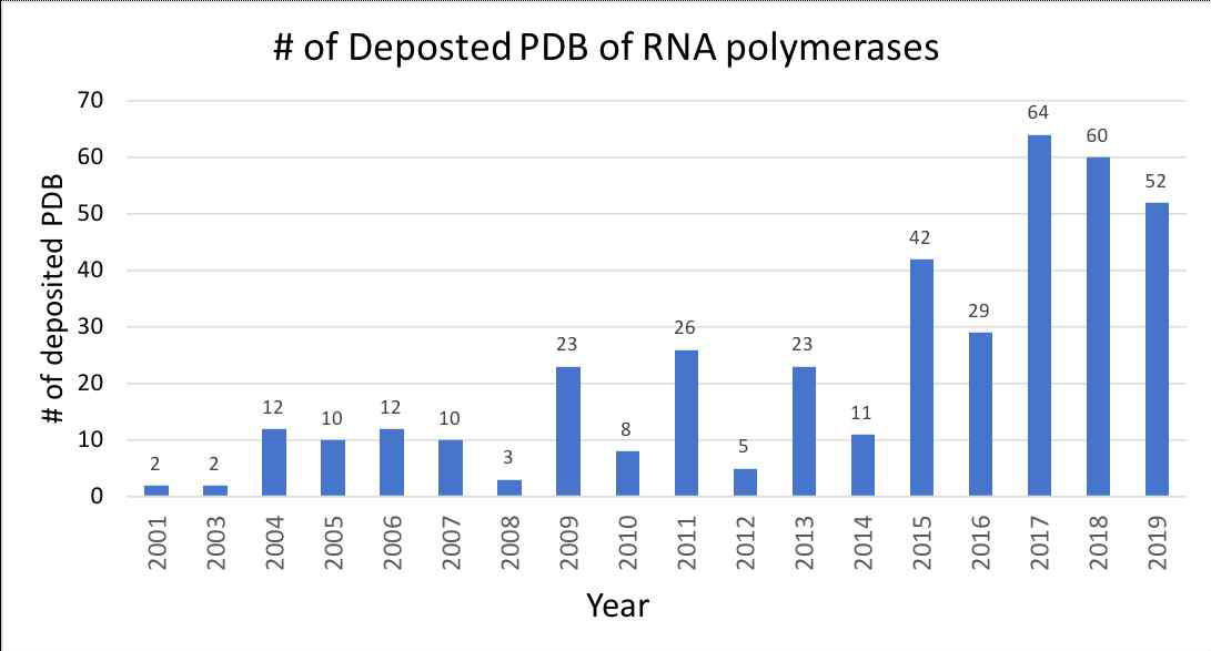 연도 별 Protein Databank에 등록된 RNA 중합효소 구조의 갯수 (www.rcsb.org)