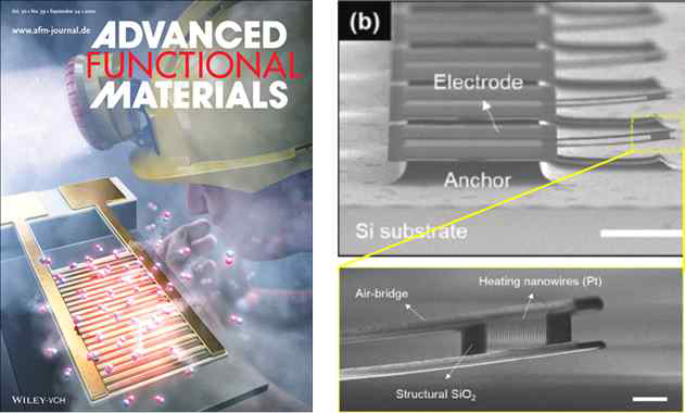 본 연구의 우수성을 인정 받아 Advanced functional Materials 저널에 표지 논문으로 게재된 사례