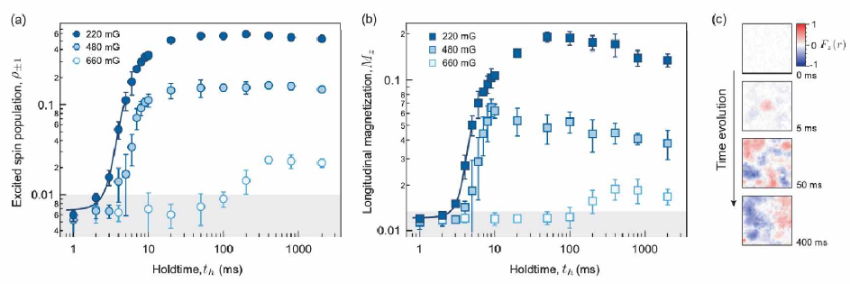 강자성 스피너 응집체의 도메인 형성 동역학. (a) 스핀1/-1 생성에 대한 동역 학과 (b) 자화 동역학을 서로 다른 자기장에 대하여 측정한 실험 결과. 자기장을 매우 작게 낮추면 스핀도메인이 약 1 ms 의 가파른 시간을 갖고 생성되는 것을 볼 수 있다 (실선: 지수함수 피팅). 임계점 근처인 660 mG 에서는 스핀 동역학 시간이 느려짐을 확인 할 수 있었다. (c) 시간에 대한 스핀 도메인 형성과정. 초기에 밀도가 높은 트랩 중앙에서부터 스핀 도메인이 형성되는 것을 확인할 수 있다. 대략 5 ms 이내의 시간에 도메인이 발생되며 50 ms 지나면 충분히 발현되고 이후시간에는 천천히 융합하는 형태의 동역학을 나타내었다