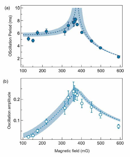 (수식) 초기 스핀 (1/2,1/ 2,1/2) 에 대해 결맞은 스핀 동역학을 다양한 외부 자기장에 대해 조사한 결과 (a) 자기장에 대한 스핀 동역학의 진동 시간 및 (A) 진폭. 약 400 mG 에서 최고값을 보였다. 점선은 단일 모드 이론을 의미하며 빗금친 영역은 실험의 불확실성 (초기 스핀상태，원자수 변화에 따른 밀도 변화，자기장 요동)을 의미한다