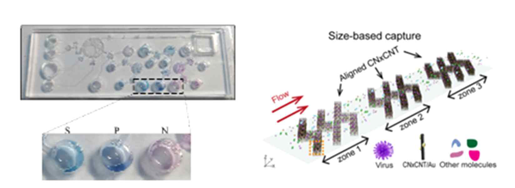 미세유체소자를 이용한 감염병 검출 기술의 예 (Sensors and Actuators B, 1, 126647; PNAS, 2020, 895)