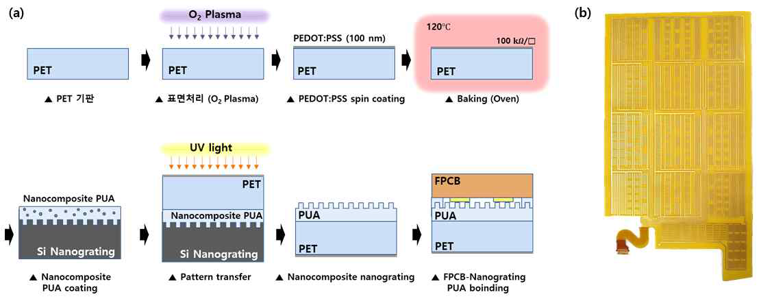(a) 나노 포스 터치 센서 공정도 및 (b) 제작 결과