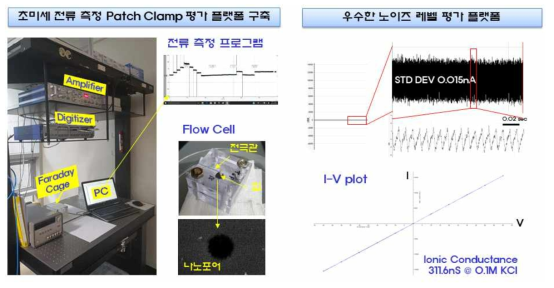 초미세전류 측정을 위한 패치클램프를 NNFC에 셋업하여 NNFC에서 제작된 나노포어의 성능을 평가함. NNFC에서 제작한 나노포어 센서의 IV그래프와 노이즈레벨 평가를 완료하였고 나노센서 가공/측정 나노 포어플랫폼을 구축 완료함