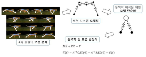 4족 동물의 운동 역학 연구의 개요