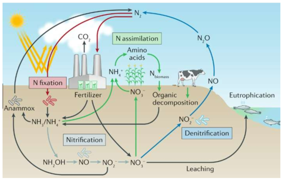 질소순환과 질소비료(Reversing nitrogen fixation : Nature Reviews Chemistry Vol. 2, pp278–289 (201) 8