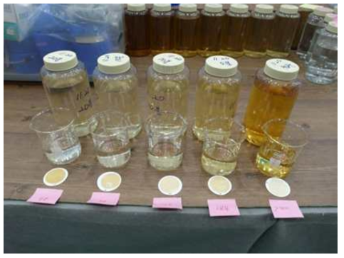 2차 축산폐수 처리 실험 샘플의 색도 변화 및 필터에 걸러진 부유물