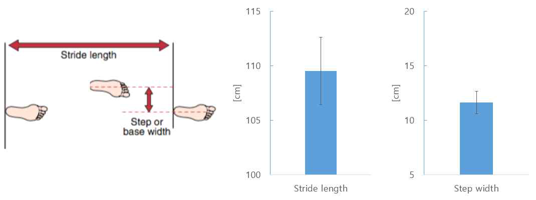 Stride length 및 step width