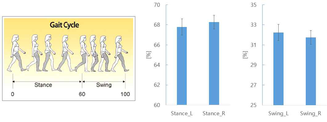 Stance 및 swing phase