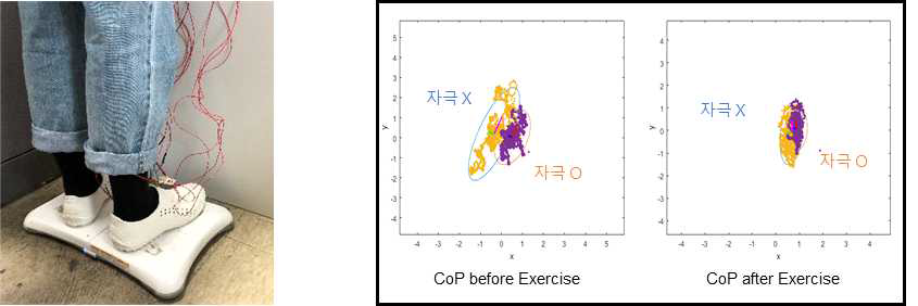 기립상태의 균형감 측정 실험(좌), 실험결과(우)