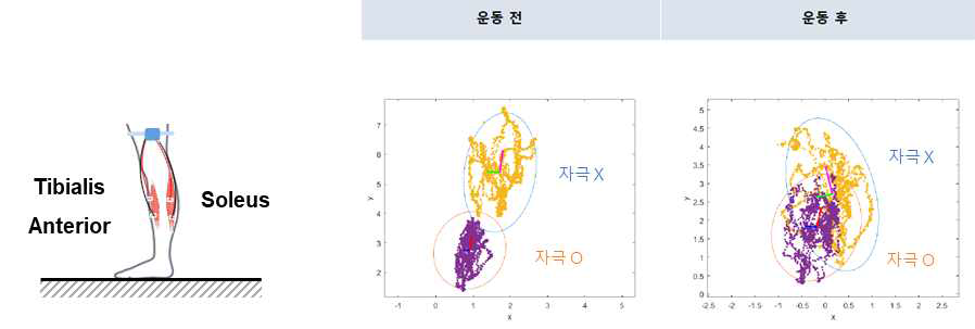 FES자극 부여 근육(좌), 실험결과(우)