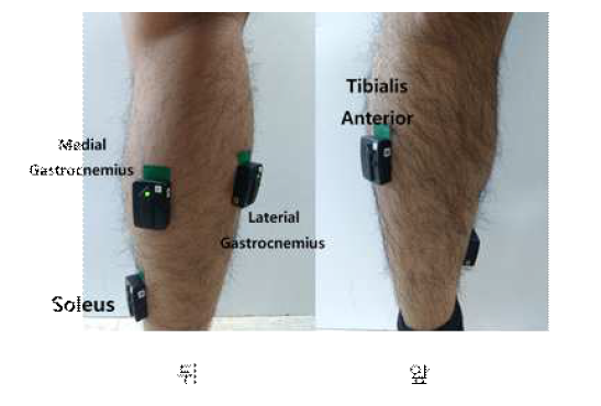 발목 관절의 운동에 관여하는 4가지 자극 위치 선정(오른쪽 다리 기준)