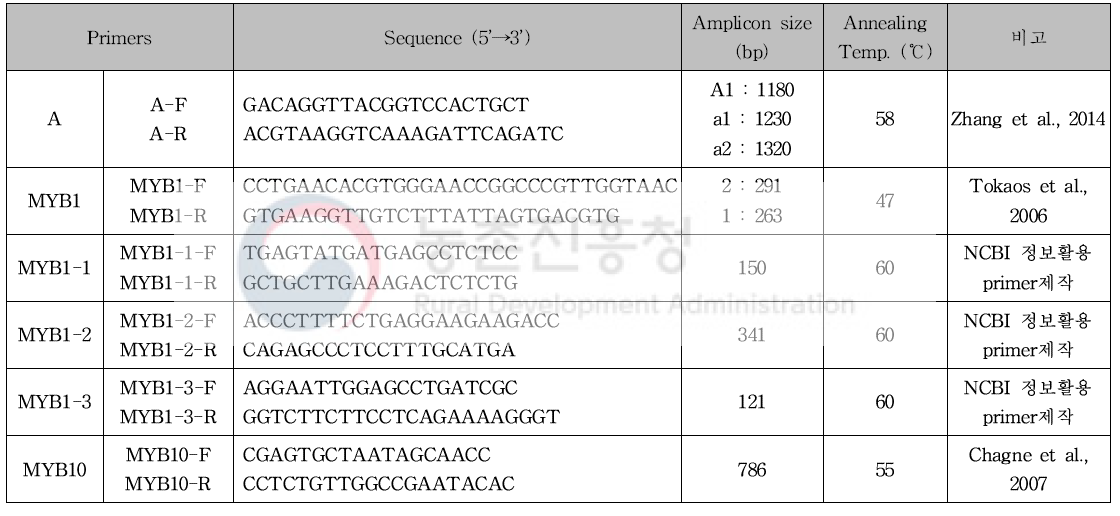 A, MYB1 및 MYB10 프라이머 정보