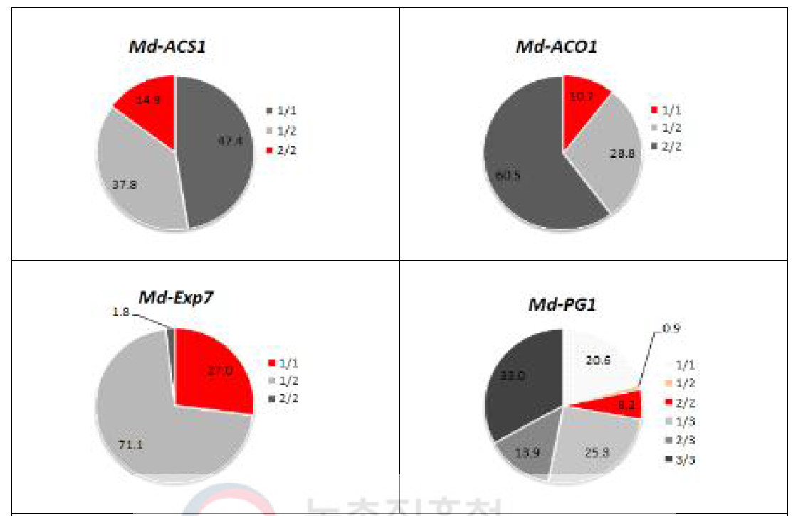 사과 유전자원의 Md-ACS1, Md-ACO1, Md-Exp7, Md-PG1 대립유전자형 비율 (단위: %)
