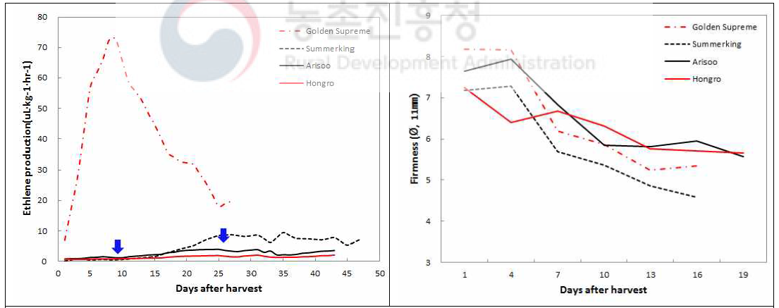 수확 후 상온저장 일수에 따른 품종별 에틸렌 발생량(좌) 및 경도(우) 변화